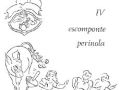 tp04