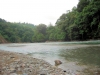 pacuare01