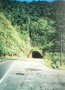 La ruta de la vida (Carretera Braulio Carrillo)